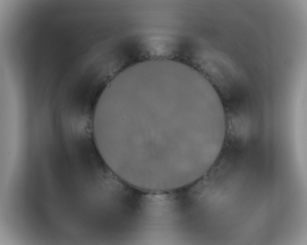 X0000111860419200908131503