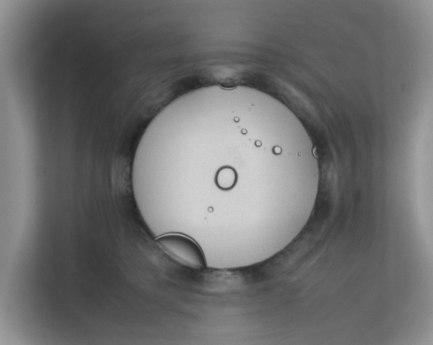 X0000111860421200908131503