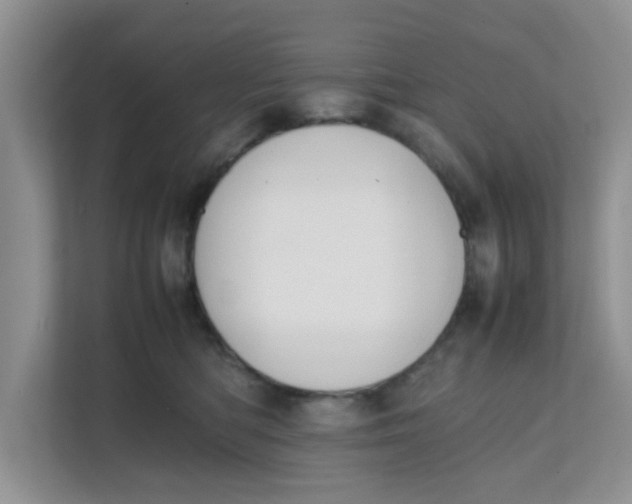 X0000111860422200908131503