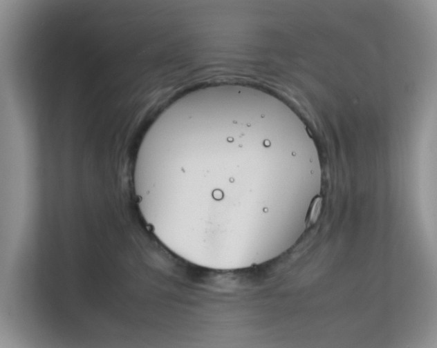 X0000111860423200908131503