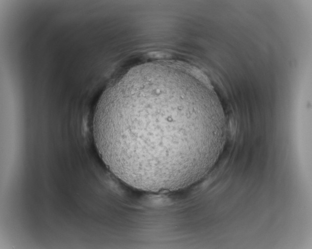 X0000111860424200908131503