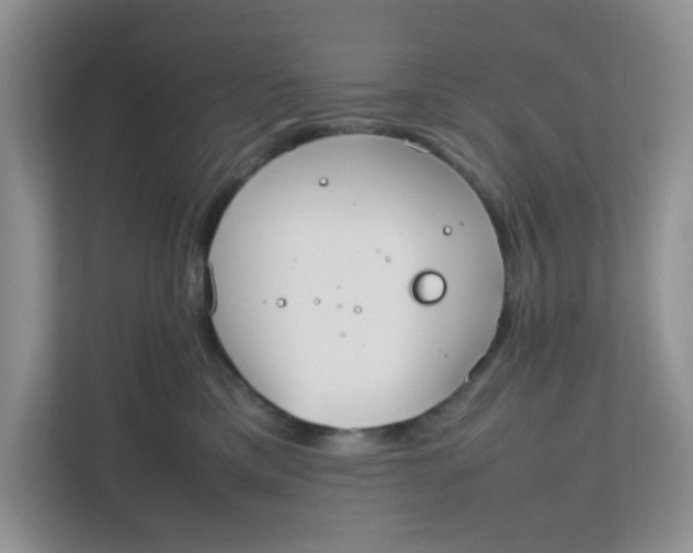 X0000111860425200908131503