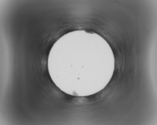 X0000111860427200908131503