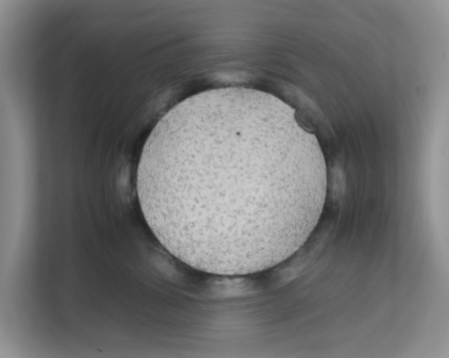 X0000111860428200908131503