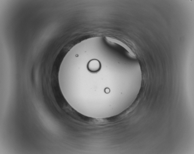 X0000111860429200908131503