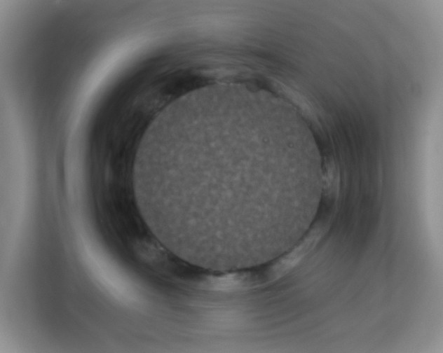 X0000111860430200908131503