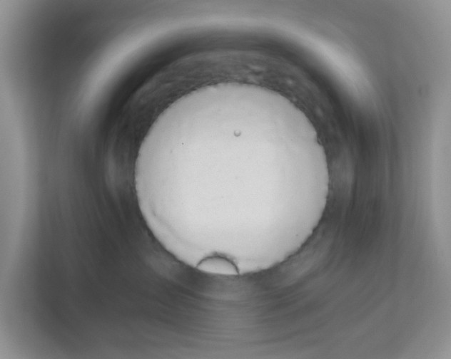 X0000111860431200908131503