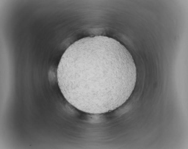 X0000111860432200908131503