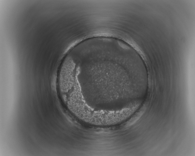 X0000111860434200908131502