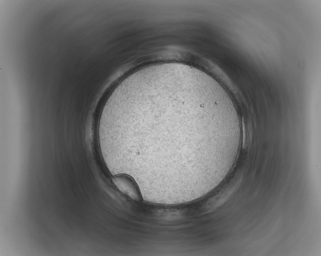 X0000111860435200908131502