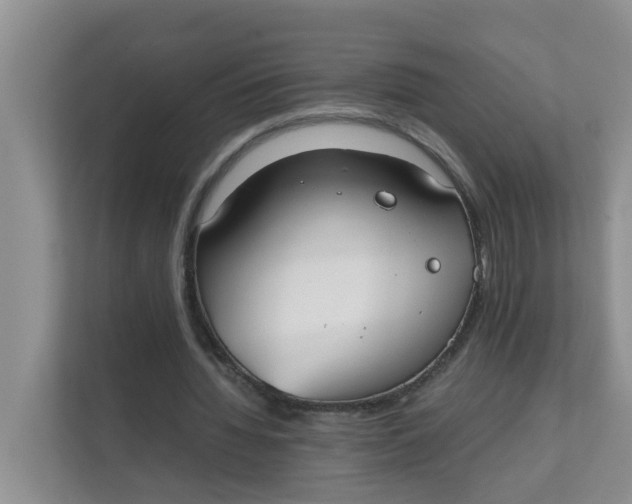 X0000111860436200908131502