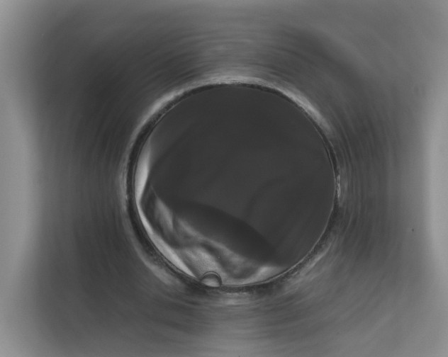 X0000111860438200908131502