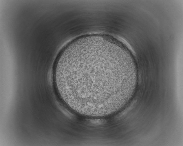 X0000111860439200908131502