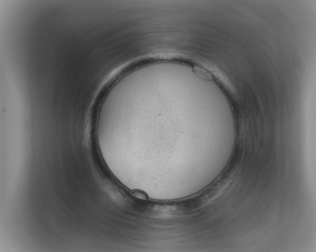 X0000111860440200908131502