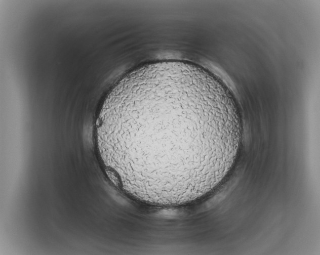 X0000111860441200908131502