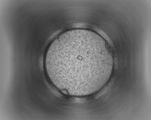 X0000111860442200908131502