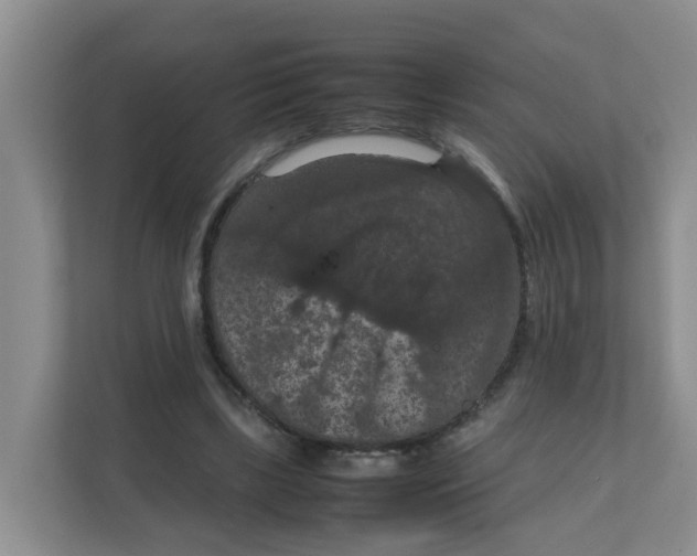 X0000111860443200908131502