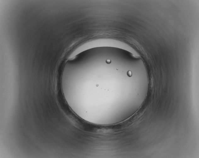 X0000111860444200908131502