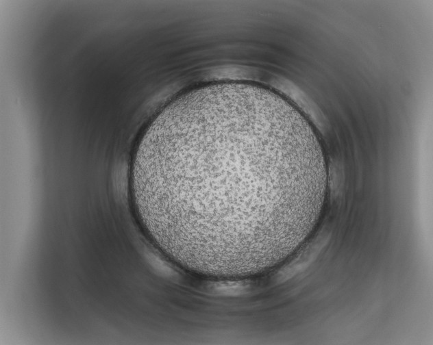 X0000111860445200908131502