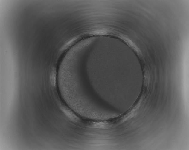 X0000111860446200908131502