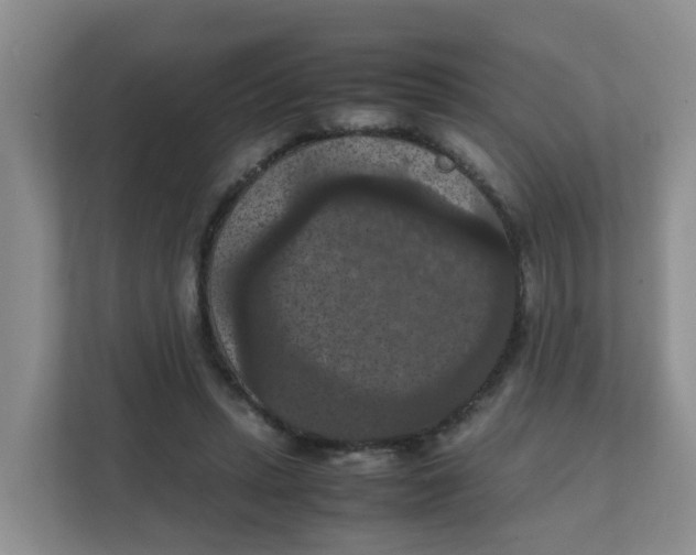 X0000111860447200908131502