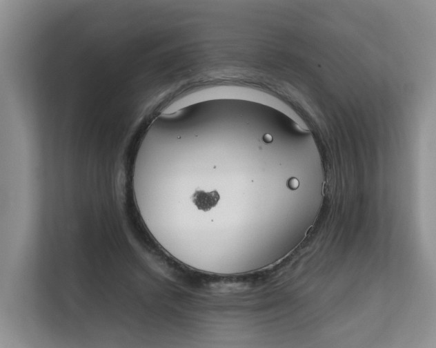 X0000111860448200908131502