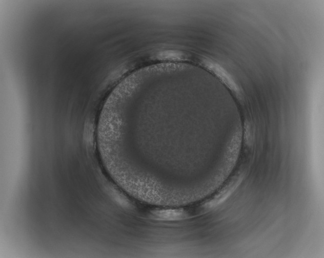 X0000111860449200908131502