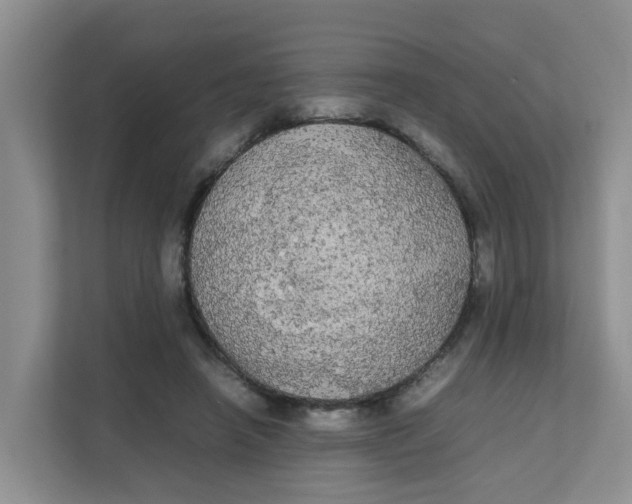 X0000111860450200908131502