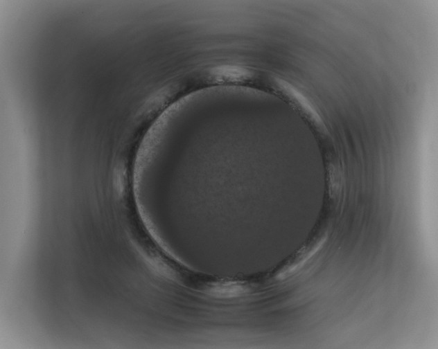 X0000111860451200908131502