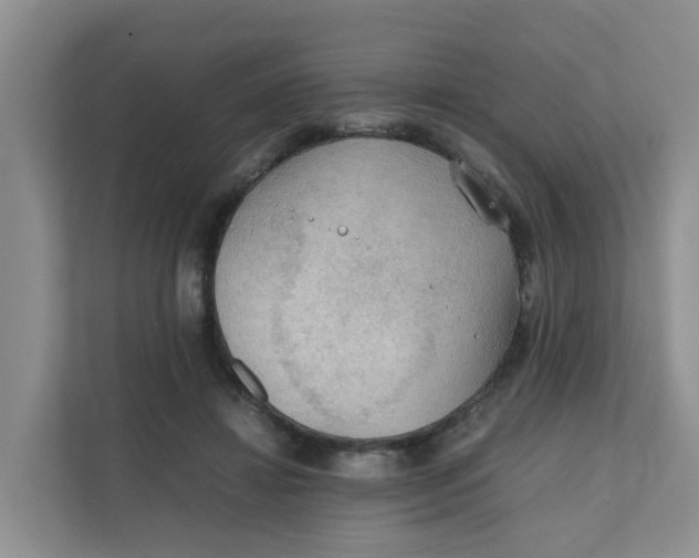 X0000111860452200908131502