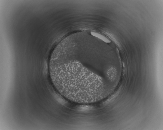 X0000111860453200908131502