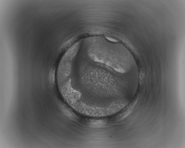 X0000111860454200908131502