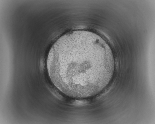 X0000111860455200908131502