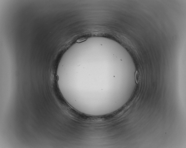 X0000111860456200908131502