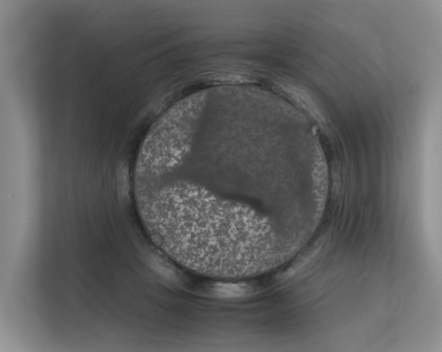 X0000111860457200908131502