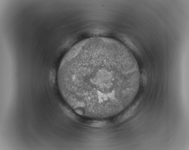 X0000111860458200908131502