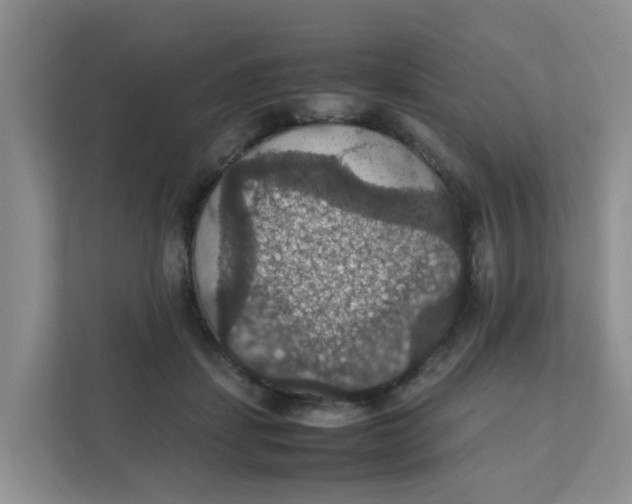 X0000111860459200908131502