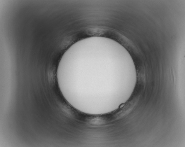 X0000111860460200908131502