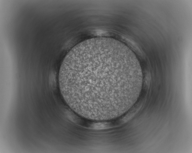 X0000111860461200908131502