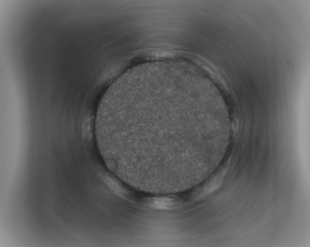 X0000111860462200908131502