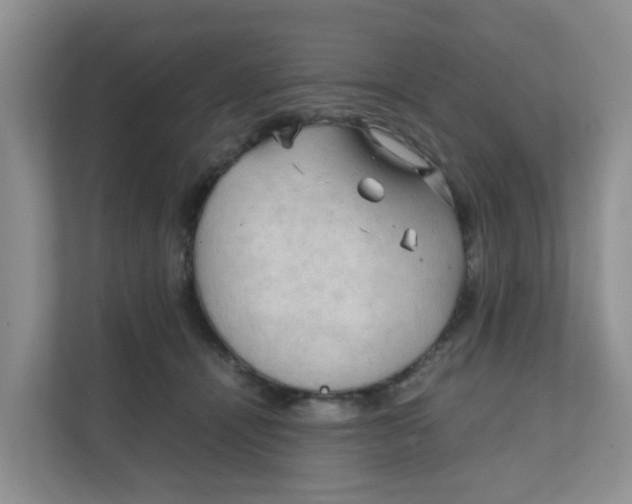 X0000111860464200908131503