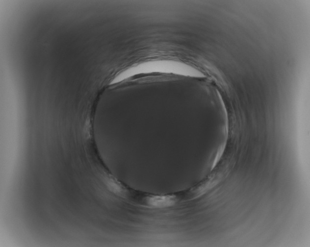 X0000111860465200908131503