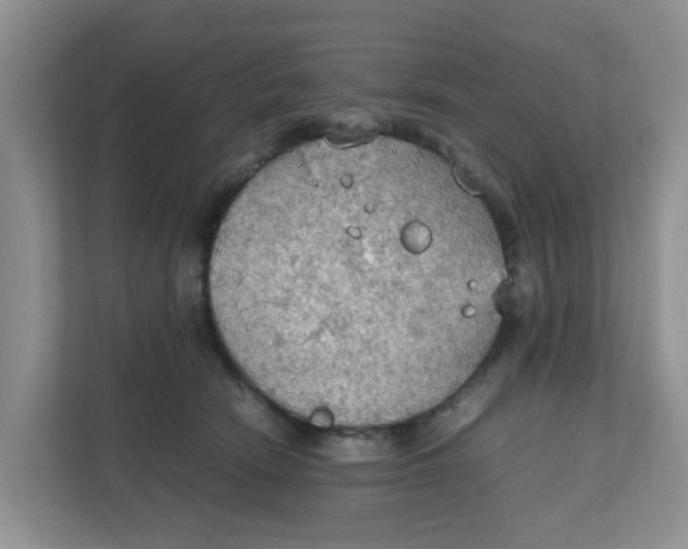 X0000111860466200908131503