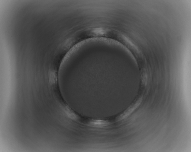 X0000111860467200908131503