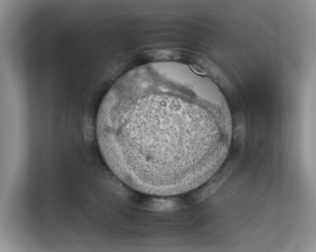 X0000111860469200908131503