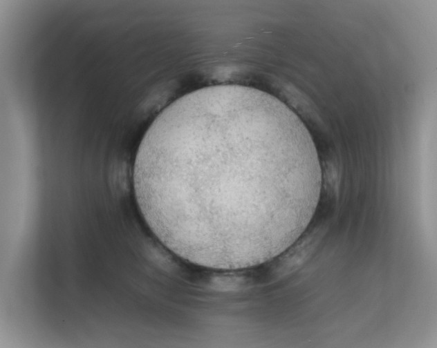 X0000111860470200908131503