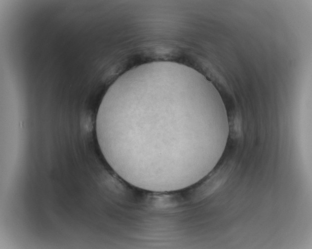 X0000111860472200908131503