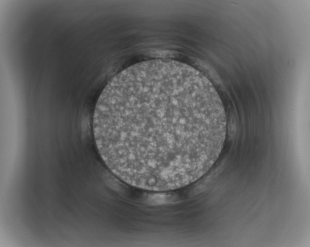 X0000111860473200908131503