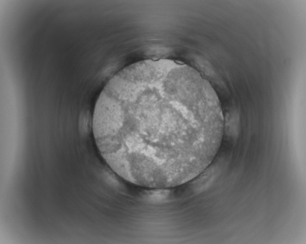 X0000111860474200908131503