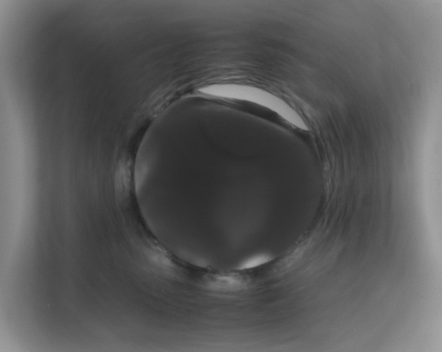 X0000111860475200908131503